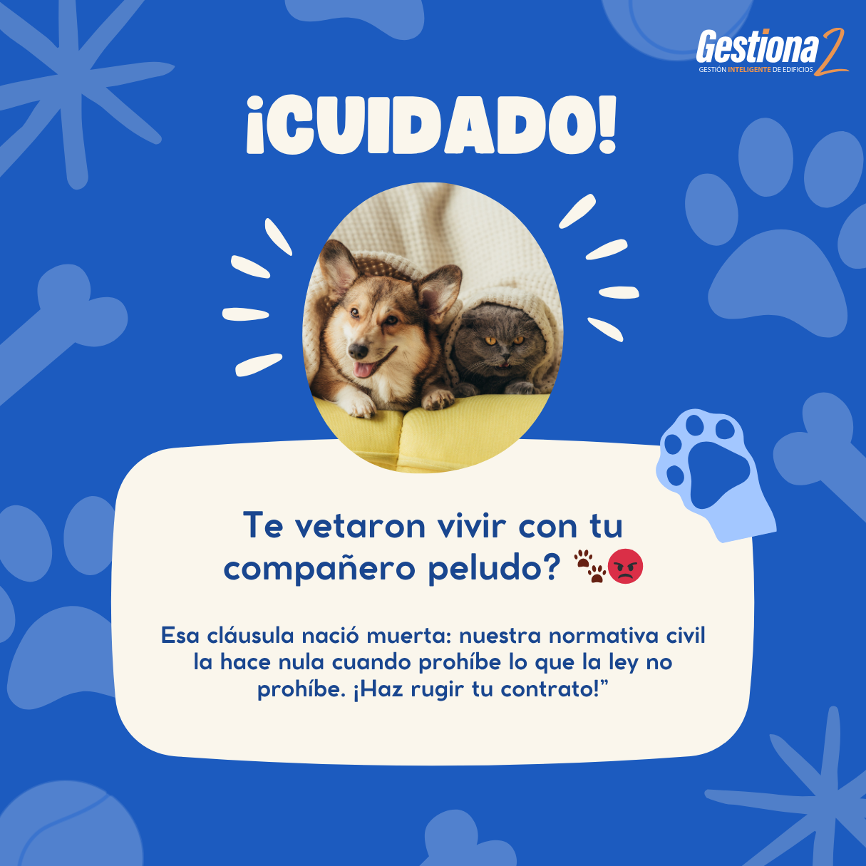 Perro y gato juntos en condominio